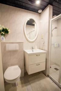 een badkamer met een toilet, een wastafel en een douche bij Casita Boschberg in Biddinghuizen