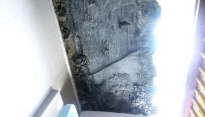 Fotografie z fotogalerie ubytování Kangkung Cottages v destinaci Jasri