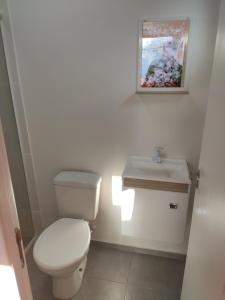 Gallery image of Paradise Container Glamping in Florianópolis +3 photos