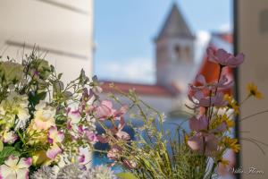 Ogród w obiekcie villa flores