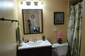 ein Badezimmer mit einem Waschbecken, einem WC und einem Spiegel in der Unterkunft Waikiki Condo Just Remodeled Kuhio Village 202A in Honolulu