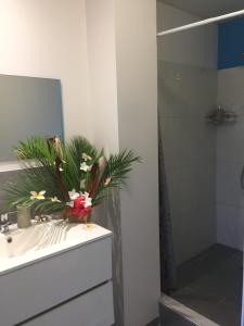 Foto sihtkohas Faaa asuva majutusasutuse Manaeva lodge galeriist