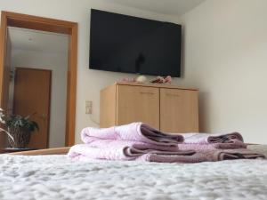 Schlafzimmer mit einem Bett und einem TV an der Wand in der Unterkunft Ferienhaus Prinzler in Friedrichsbrunn