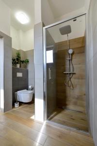 a bathroom with a shower with a toilet and a tub at Soho apartment in Písek