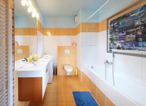 Salle de bains dans l'établissement Apartment Vodni with parking