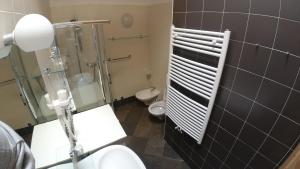 een badkamer met een toilet, een douche en een wastafel bij Camping Dolomiti in Dimaro