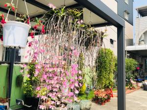 Zahrada ubytování Fu Courtyard Homestay
