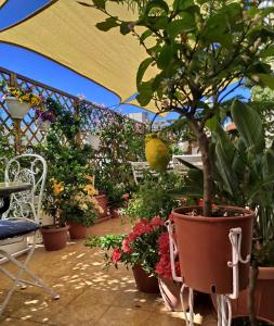 Garður fyrir utan Alghero Roof Garden