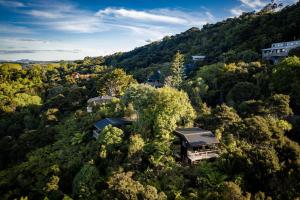 芒格菲的住宿－Tui & Nikau Cabins，森林中间房屋的空中景观