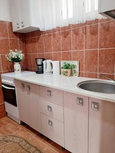 eine Küche mit einer Spüle und einer Arbeitsplatte in der Unterkunft Casa Hermann in Sighişoara