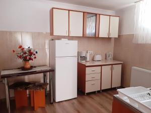 Kuchyň nebo kuchyňský kout v ubytování Casa Hermann