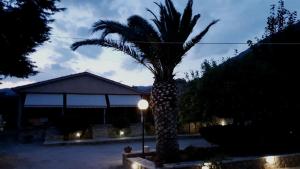 una palmera frente a un edificio con luz de la calle en Oasis Studios AG PANTES, en Áyioi Pándes