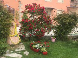 Vonkajšia záhrada v ubytovaní CASA San Gallo