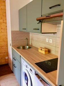 una cucina con lavandino e lavatrice di Appartement - Terrasse "L' orée des monts" - Loudenvielle location a Loudenvielle