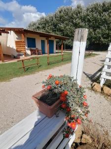 Zahrada ubytování agriturismo oca giuliva