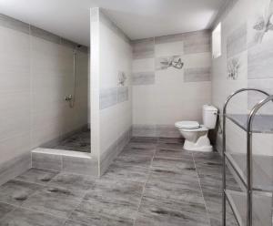 ein Bad mit einem WC und einer ebenerdigen Dusche in der Unterkunft Apartmán U Brabců in Prachatice