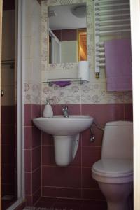 ウストシキ・ドルネにあるPrzystań Gromadzyńのバスルーム(洗面台、トイレ、鏡付)