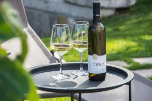 two glasses of white wine on a table at Apartment Vidus Wine Estate in Podnanos