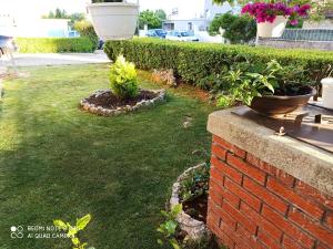 a garden with twootted plants on a brick wall at Apartments Roncevic in Zadar