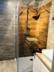 a shower with a glass door in a bathroom at Apartament Happiness in Jelenia Góra +27 photos