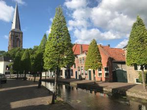 een groep bomen naast een rivier met een kerk bij Bed&Breakfast Maasland in Maasland