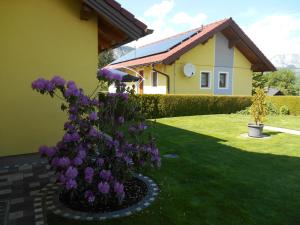 Zahrada ubytování Ferienhaus Berger