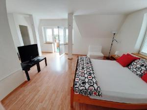 1 dormitorio con 1 cama grande y TV en Apartment Patera, en Unhošť