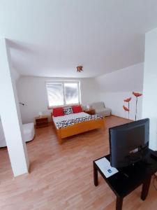 a living room with a couch and a tv at Apartment Patera in Unhošť