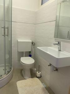 W łazience znajduje się toaleta, umywalka i prysznic. w obiekcie Apartman Iva w mieście Zadar