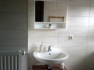 Koupelna v ubytování Pension-Nussbaum + 9 fotografií