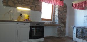 Kuchyň nebo kuchyňský kout v ubytování Rural Apartment Carolina