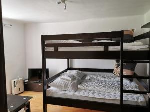 - deux lits superposés dans une chambre dans l'établissement Apartmán Romance, à Lipno nad Vltavou