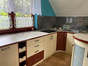 a kitchen with a sink and a counter top at Apartament w Twardorzeczce in Sienna +7 photos