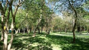 Zahrada ubytování Camping Du Lion