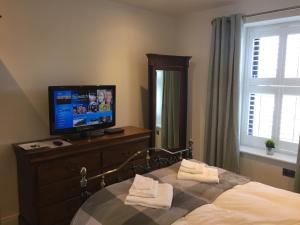 TV a/nebo společenská místnost v ubytování Lisheen Lodge