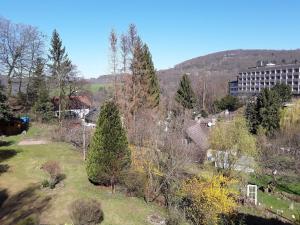 - une vue sur une cour arborée et un bâtiment dans l'établissement Ferienwohnung Hans, à Lindenfels