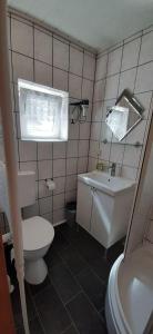 a small bathroom with a toilet and a sink at Ferienwohnung Aue in Bad Lauterberg