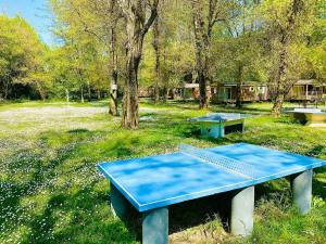 Zahrada ubytování Camping Du Lion