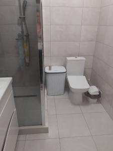 a bathroom with a toilet and a shower at ARKADIYA HOUSE in Odesa
