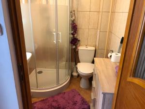 a bathroom with a shower and a toilet and a sink at Ania in Ustka