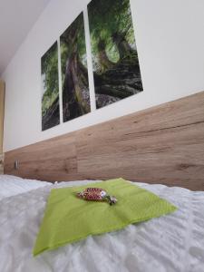 Gallery image of Appartement mit Doppelbett oder 2 Einzelbetten in Bad Aussee