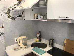 CASA NEPTUN in OLD BATUMI في باتومي: مطبخ مع حوض و كونتر توب