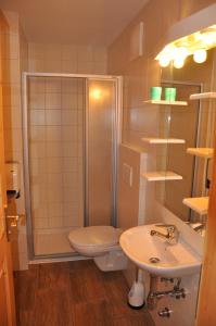 y baño con ducha, aseo y lavamanos. en Bärenhütte Tröpolach-Nassfeld, en Jenig
