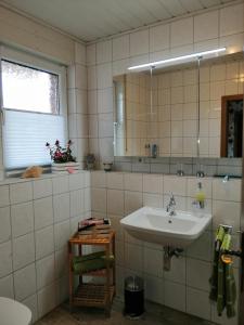 a bathroom with a sink and a mirror at Am Waldrand in Schüttorf