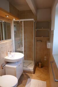 W łazience znajduje się prysznic, umywalka i toaleta. w obiekcie Öko-Ferienwohnung-Kiel im Schwedenhaus w Kilonii