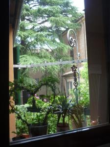 una finestra con piante in vaso e un albero di Il Giardino Segreto a Imola