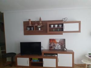 sala de estar con TV y estanterías en la pared en Apartamento Nuit, en Teruel