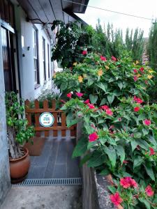 un porche con un ramo de flores y un banco en Casa do Sr. Falcão, en Miranda do Corvo