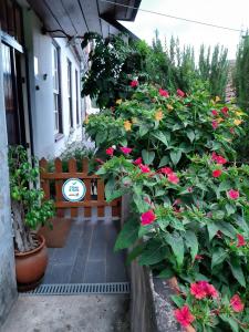 a porch with a bunch of flowers and a bench at Casa do Sr. Falcão in Miranda do Corvo