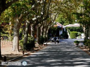 Foto da galeria de Pacheca The Wine House Hotel e Spa - Quinta da Pacheca em Lamego
